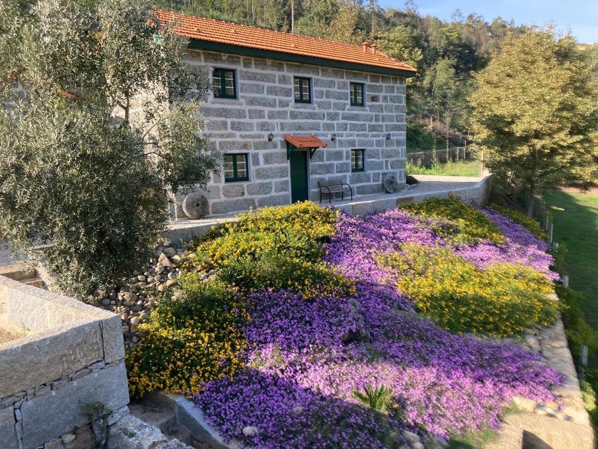 Quinta De Varzielas - Agroturismo Castelo de Paiva Exterior photo